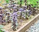 What and how to land on a vegetable flowerbed: 7 ideas of useful and unusual design of beds 3017_16