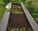 What and how to land on a vegetable flowerbed: 7 ideas of useful and unusual design of beds 3017_27