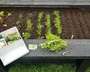 Hva og hvordan å lande på en grønnsak blomsterbed: 7 ideer om nyttig og uvanlig design av senger 3017_28