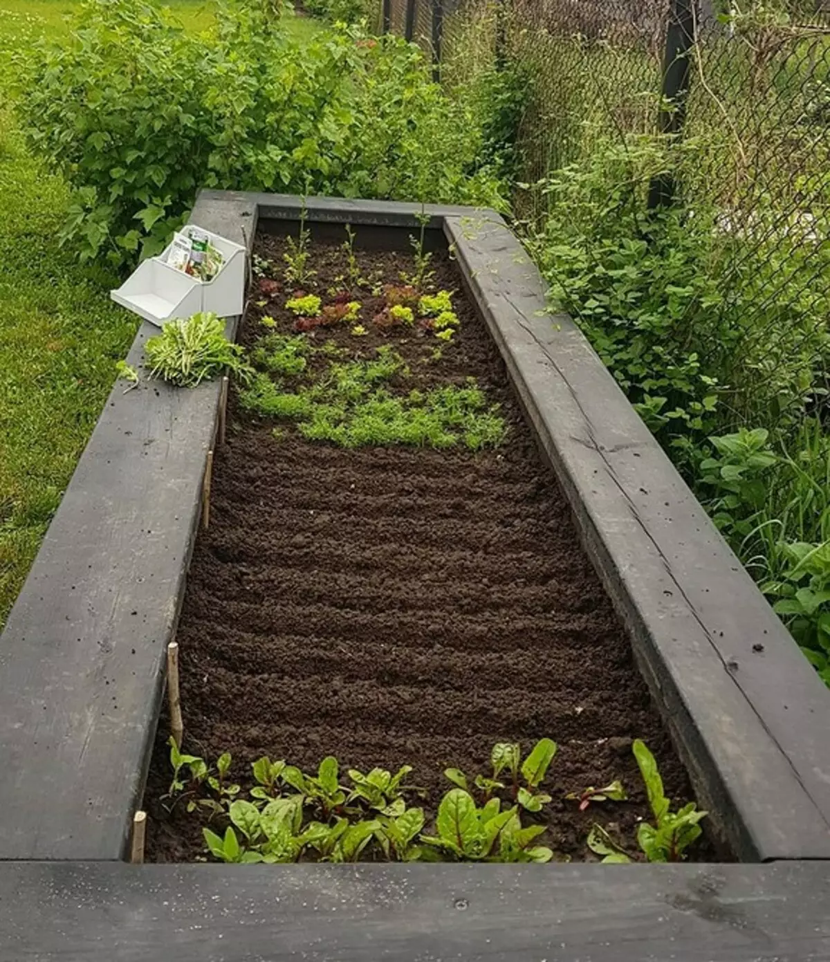野菜の花壇に着陸する方法：7人のベッドの珍しいデザインのアイデア 3017_29