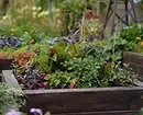 What and how to land on a vegetable flowerbed: 7 ideas of useful and unusual design of beds 3017_3