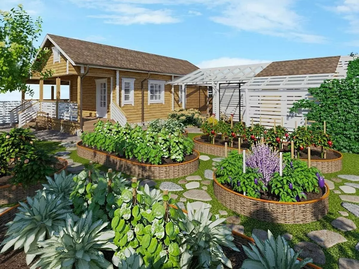 What and how to land on a vegetable flowerbed: 7 ideas of useful and unusual design of beds 3017_33