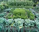 Hva og hvordan å lande på en grønnsak blomsterbed: 7 ideer om nyttig og uvanlig design av senger 3017_39