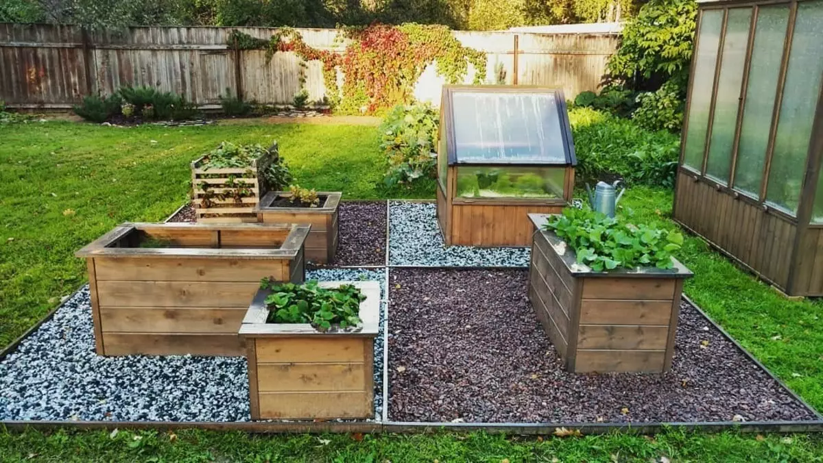 What and how to land on a vegetable flowerbed: 7 ideas of useful and unusual design of beds 3017_42