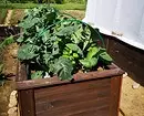 What and how to land on a vegetable flowerbed: 7 ideas of useful and unusual design of beds 3017_8