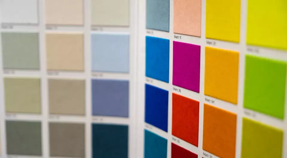 벽을위한 페인트 색을 선택하고 착각하지 않는 방법 : 8 가지 중요한 조언과 전문가 의견 3137_9