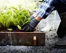 Per a jardiners sense experiència: 5 consells sobre com crear el vostre primer jardí 3147_10