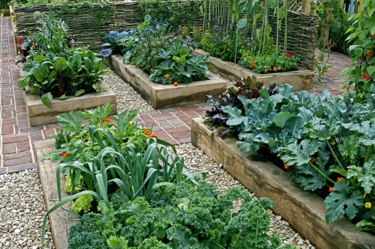 Za neiskusne vrtlare: 5 savjeta o tome kako stvoriti svoj prvi vrt 3147_13