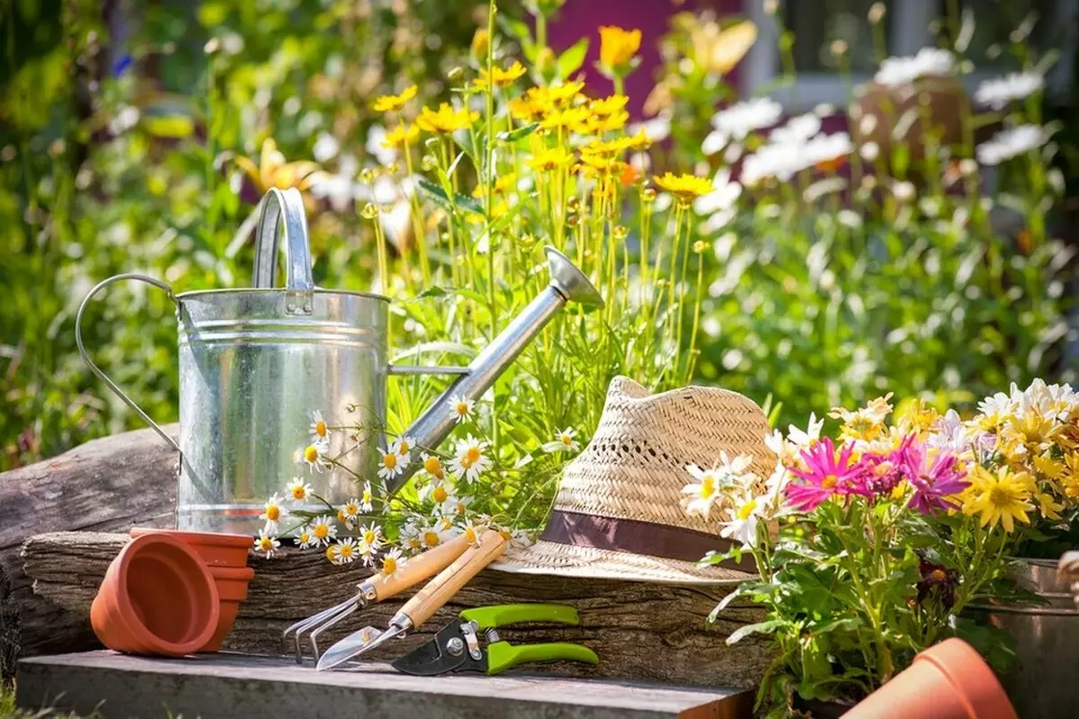 Pour les jardiniers inexpérimentés: 5 conseils sur la façon de créer votre premier jardin 3147_24