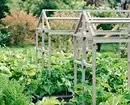 Pre neskúsených záhradkárov: 5 tipov, ako vytvoriť svoju prvú záhradu 3147_5