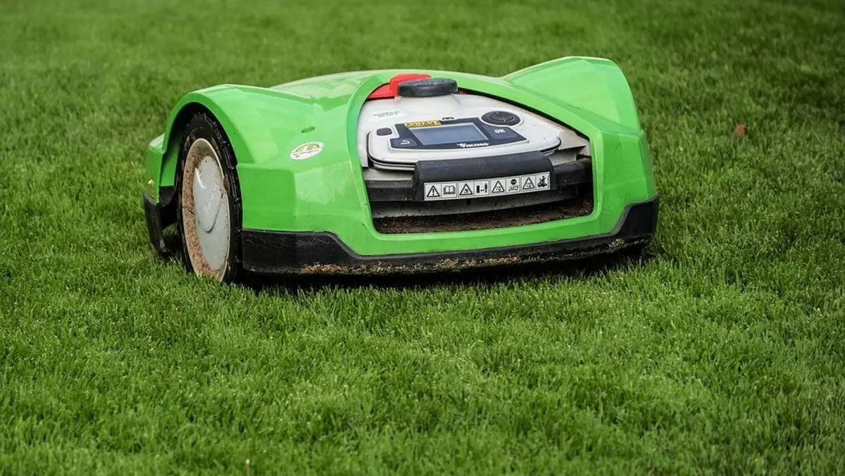 דשא תספורת למתחילים: בחר בין רובוט, מכסחת עצמית רוכב 3150_5