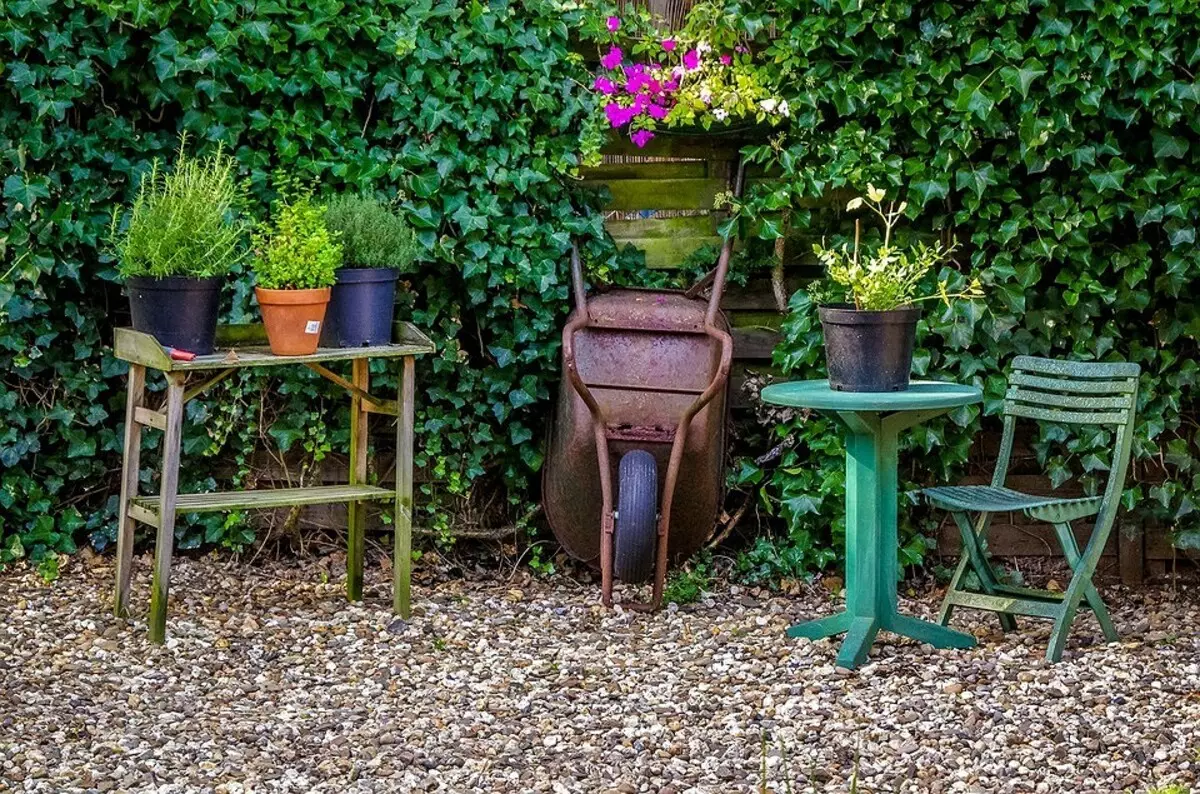Com netejar ràpidament mobles de jardí: 7 consells i cost mínim 3167_3