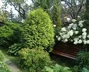 Cosa fare con un giardino abbandonato per diventare una decorazione dacha: 3 idee 3171_20