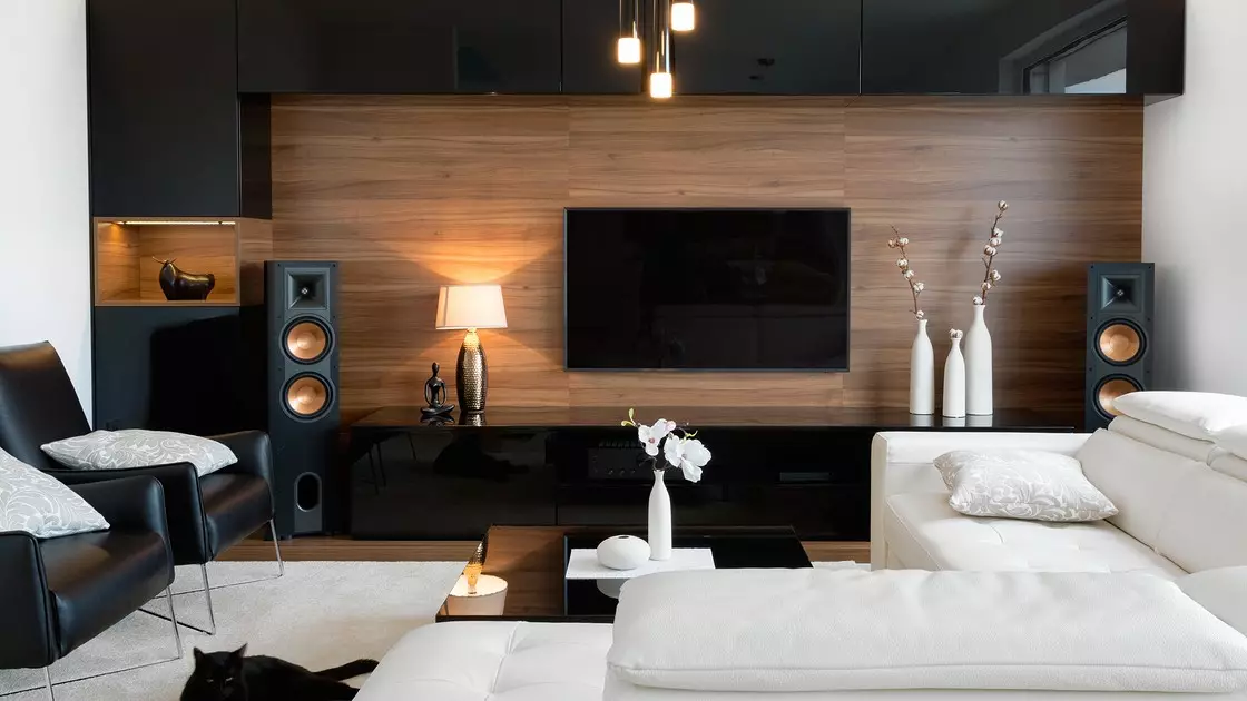 Oturma odasındaki duvarlarda TV: 6 Takdir ettiğiniz 6 tasarım seçeneği