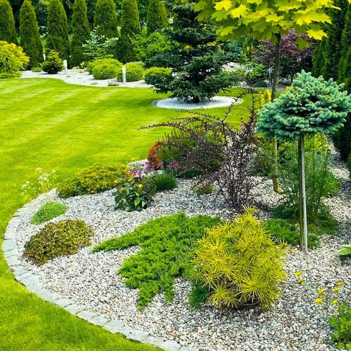 不適切な地域で美しい庭園を手配する方法：4つの問題の単純な解決策 3215_11