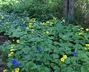 How to arrange a beautiful garden at an unsuitable area: Simple solutions of 4 problems 3215_16