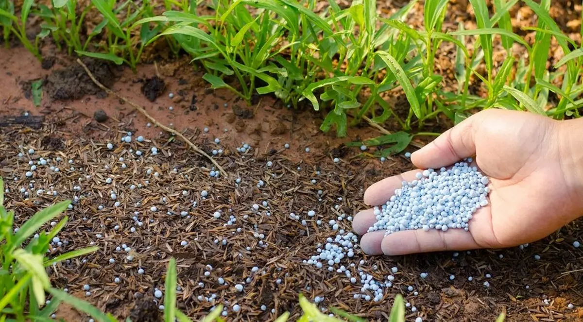 What mineral fertilizers bring in spring: a detailed guide by types of drugs