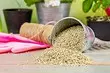 Vermiculite ho an'ny zavamaniry: Fomba fampiharana 9