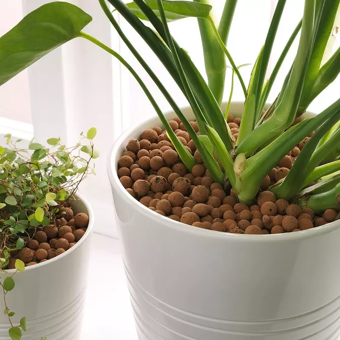 Talat nedvességérzékelő és 7 hasznos és költségvetési termék az IKEA-tól a beltéri növényekért 3412_16