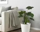 Soil humidity sensor and 7 more useful and budget products from IKEA for indoor plants 3412_3