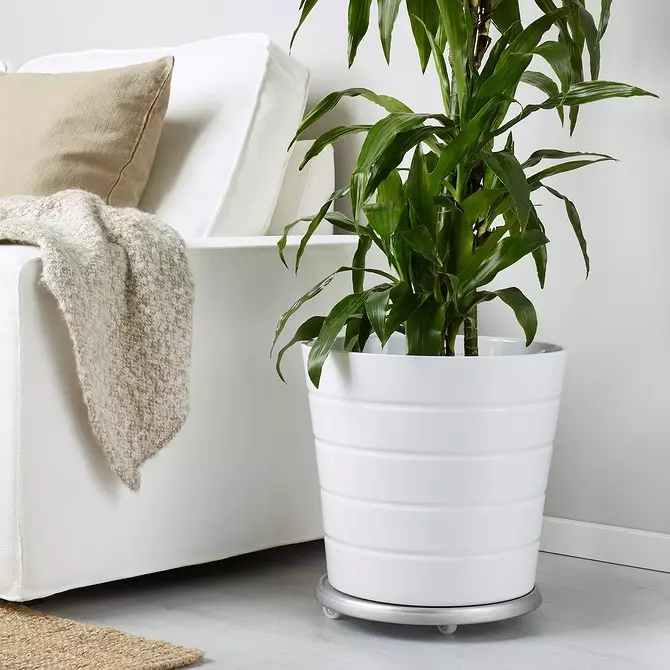 Senzor vlhkosti půdy a 7 užitečnějších a rozpočtových produktů z IKEA pro vnitřní rostliny 3412_34