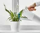 Senzor vlhkosti půdy a 7 užitečnějších a rozpočtových produktů z IKEA pro vnitřní rostliny 3412_4