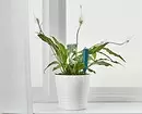 Soil humidity sensor and 7 more useful and budget products from IKEA for indoor plants 3412_5