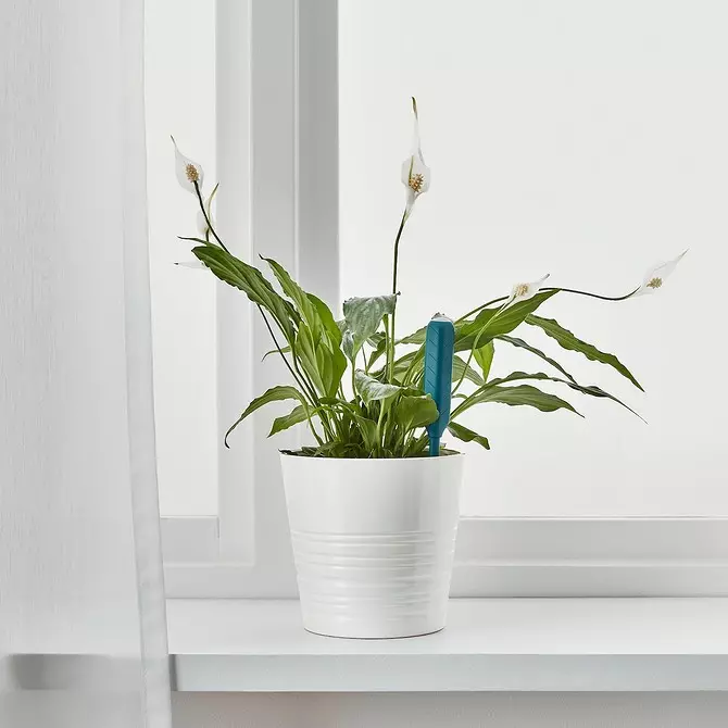 Soil humidity sensor and 7 more useful and budget products from IKEA for indoor plants 3412_8
