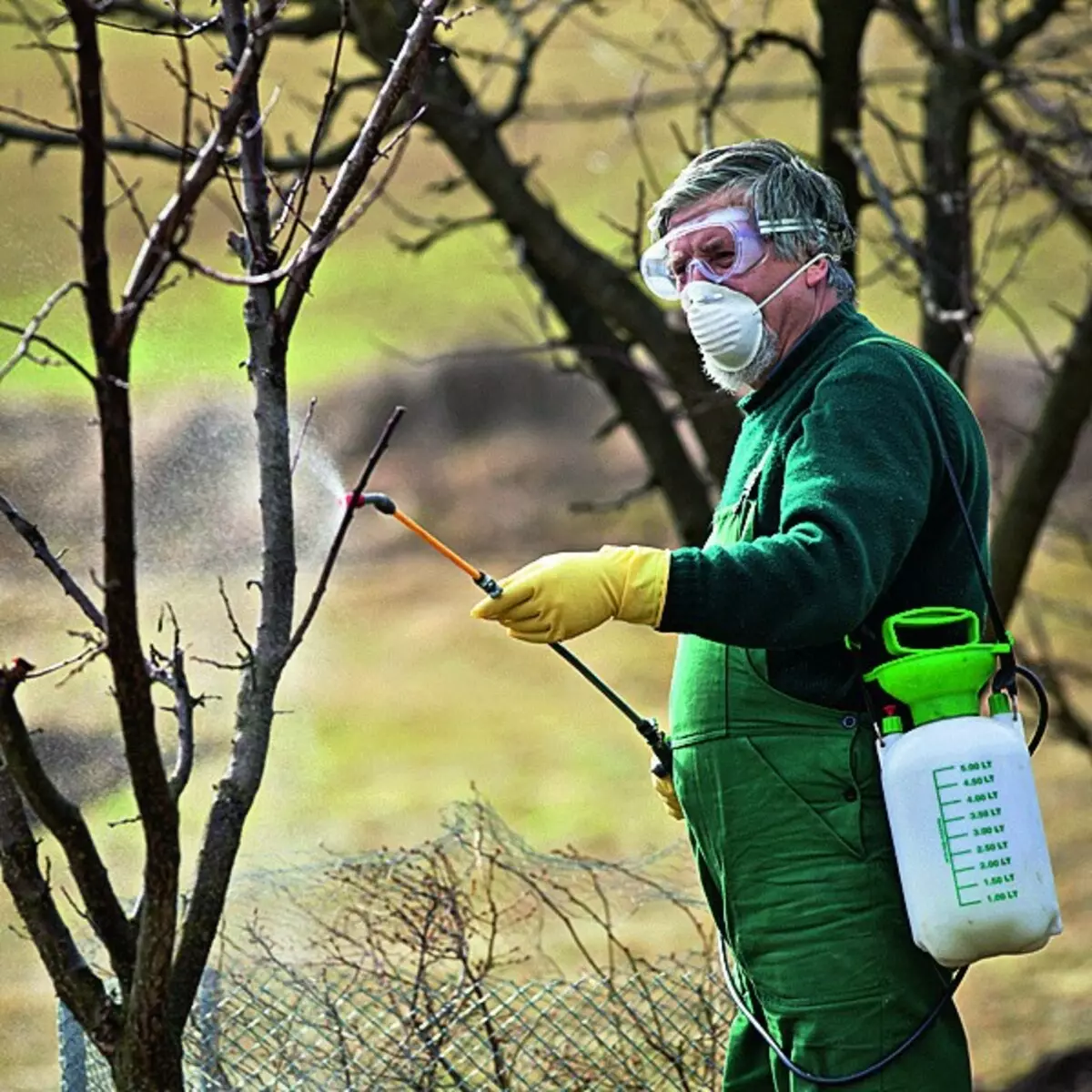 Spring work in the garden: where to start 34426_11