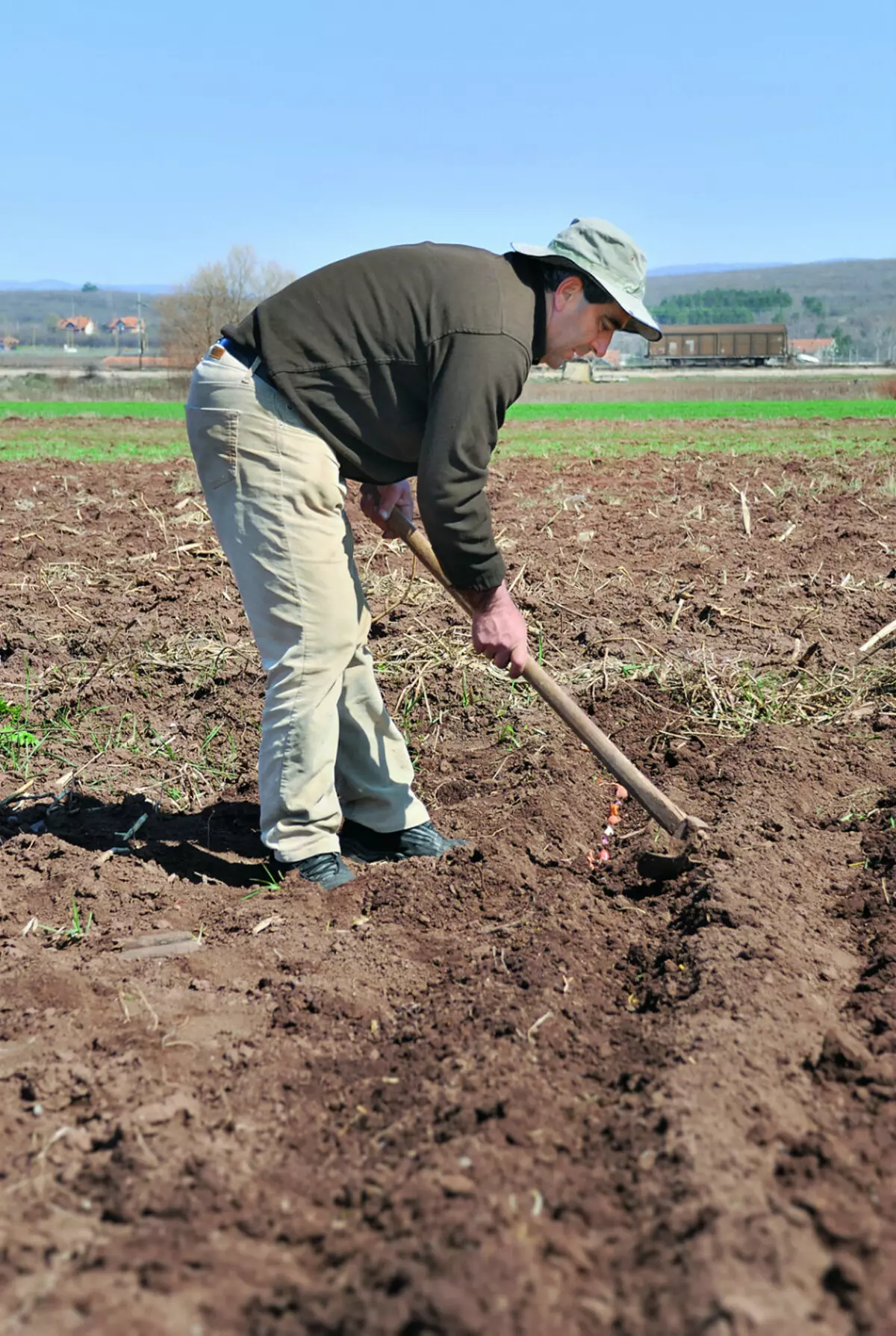 Spring work in the garden: where to start