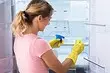 Do que lavar a geladeira do cheiro: instrução que ajudará com precisão