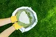 Como usar ureia no jardim na primavera: 4 usa fertilizantes