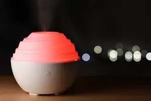 हवा humidifier की सफाई: डिवाइस को रीफ्रेश कैसे करें और इसे तोड़ें नहीं 3609_1