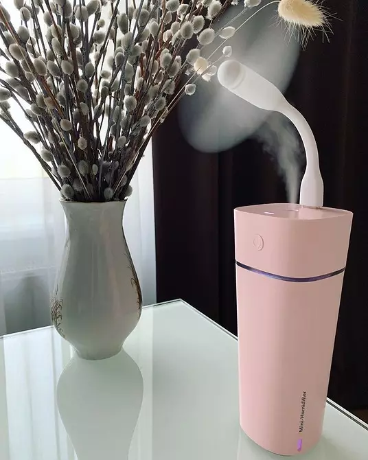 Membersihkan humidifier udara: Cara menyegarkan perangkat dan jangan putus 3609_11