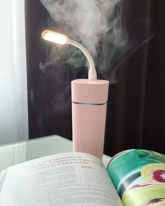 Limpieza del humidificador de aire: cómo refrescar el dispositivo y no romperlo. 3609_12