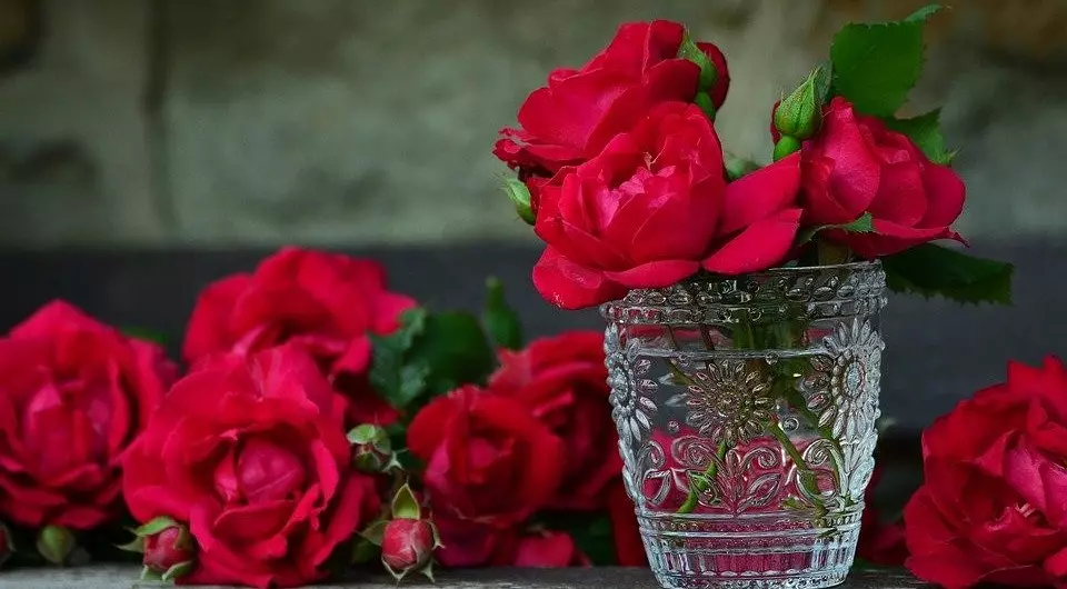Cómo cultivar una rosa de un bouquet: una guía detallada para el jardinero 3657_7