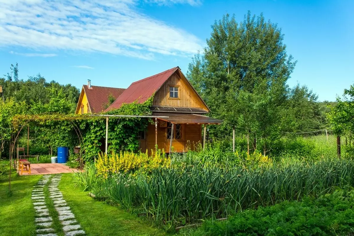 ზამთრის შემდეგ ქვეყნის ტერიტორიაზე წესრიგს ვაკეთებთ: 4 მნიშვნელოვანი შემთხვევა 3703_7