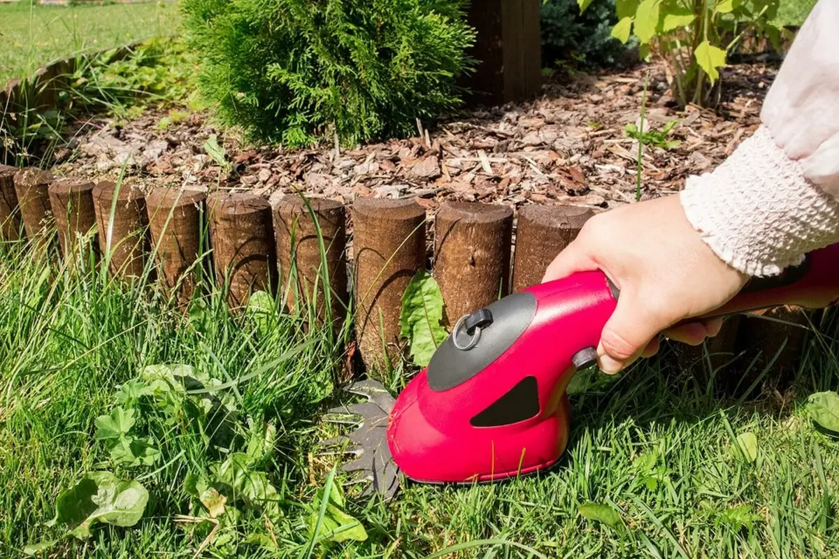 6 Vereiste hulpmiddelen voor dowels die het werk in de tuin vereenvoudigen 3718_12