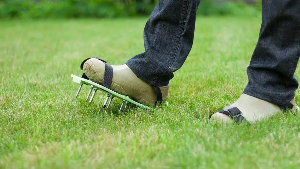 6 Potrebni alati za dateke koji će pojednostaviti posao u vrtu 3718_7