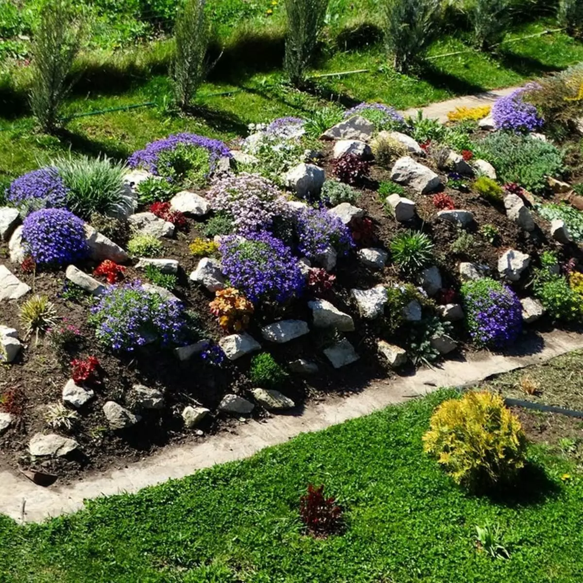 美しい庭園を手配して保存する方法：5予算の方法 3730_22