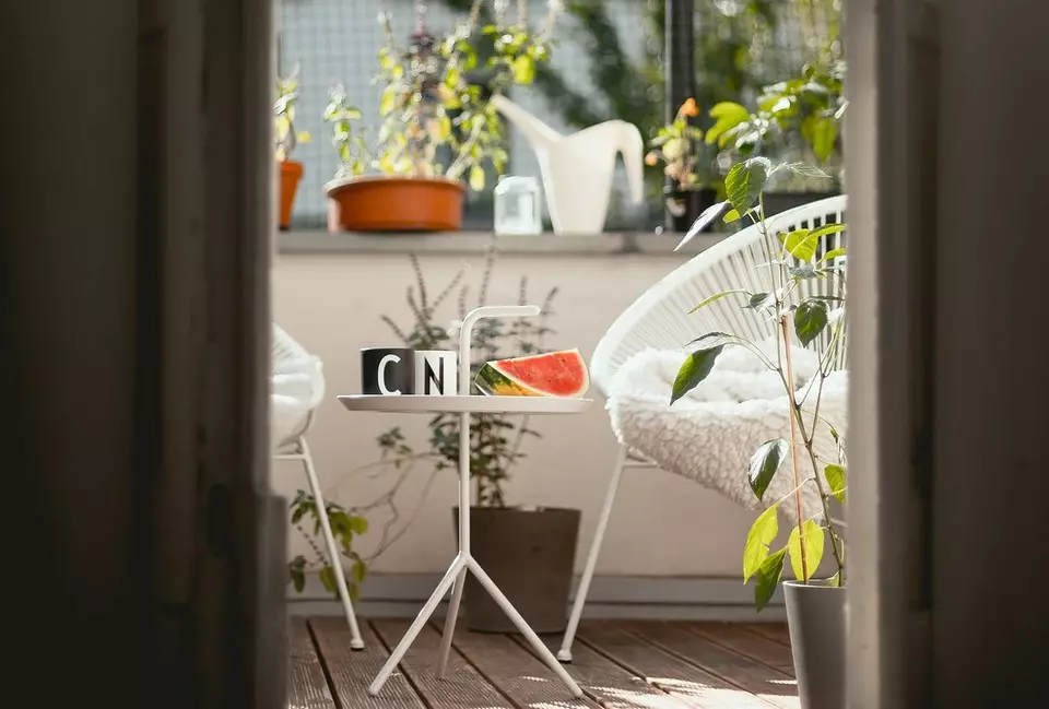 Wenn Sie kein Hütten haben: Wie man ein Blumenbett auf dem Balkon mit eigenen Händen herstellt 3747_25