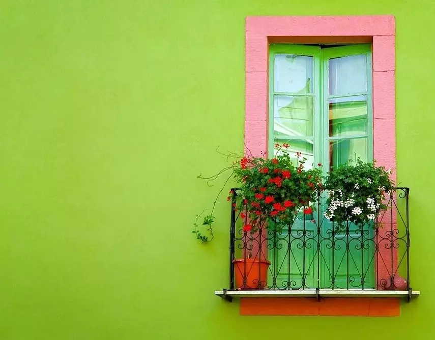 Se non tes unha casa de campo: como facer unha cama de flores na terraza coas túas propias mans 3747_81