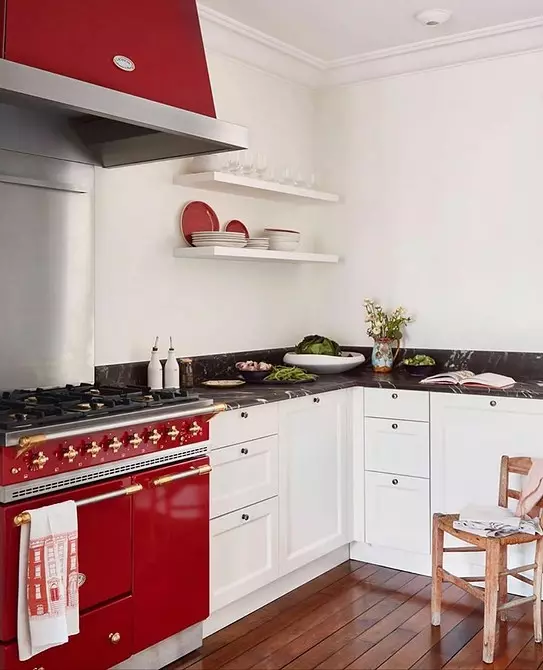 Улаан цагаан гал тогооны өрөөний загварыг хэрхэн яаж гаргах вэ: Одоогийн зөвлөмж, антипрод 3877_114