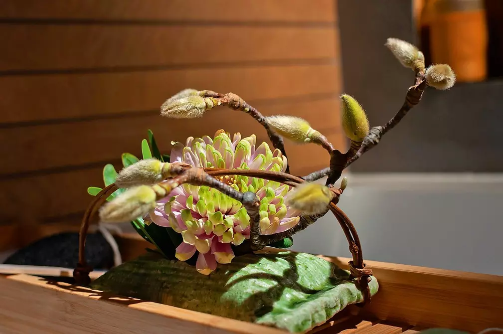 We make Iquiban from chrysanthemum, which will decorate the modern interior: 5 ideas from Florist 4052_19