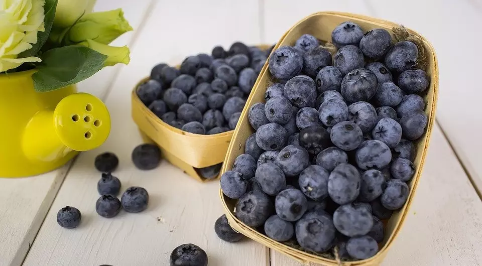 6 Labing maayo nga mga lahi sa mga tanaman nga blueberries alang sa Moscow Region