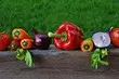 Біз төсекте көршілерді таңдаймыз: бақшадағы және бақшадағы өсімдіктермен үйлесімділік кестелері