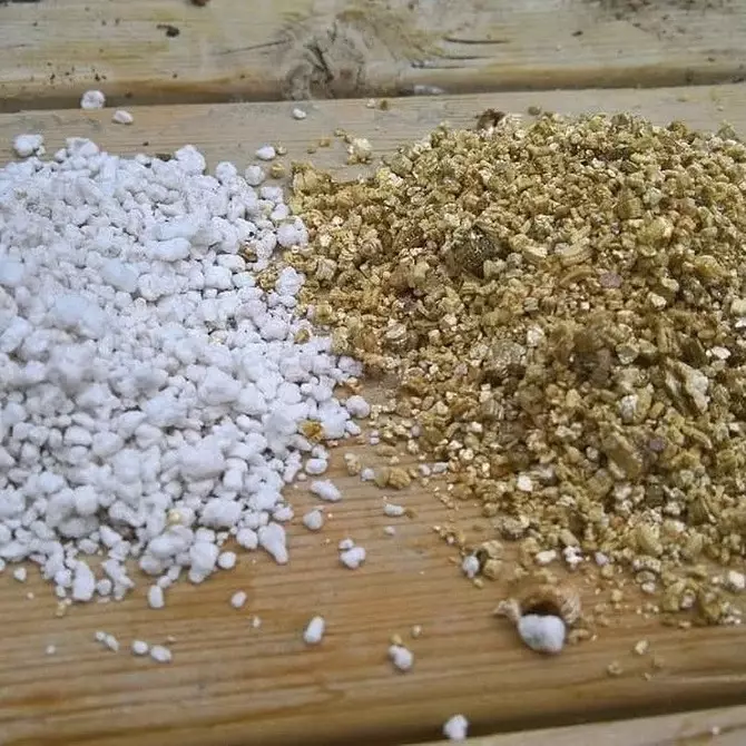 តើអ្វីជាភាពខុសគ្នារវាង Vermiculite perlite (ហើយហេតុអ្វីបានជាពួកគេត្រូវបានប្រើខុសគ្នា) 43358_15