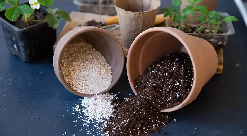 ¿Cuál es la diferencia entre la perlita de la vermiculita (y por qué se usan de manera diferente)