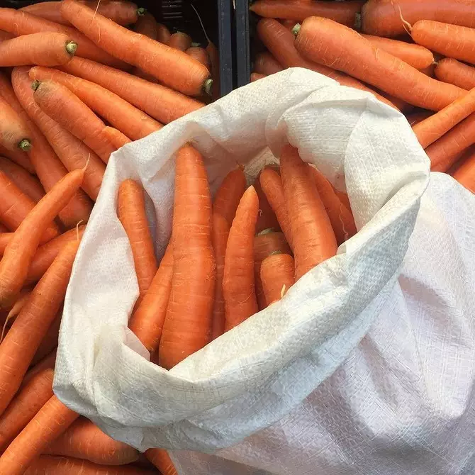 Hoe winkelwortelen thuis op te slaan, zodat het niet lang bederft: 4 manieren 458_12