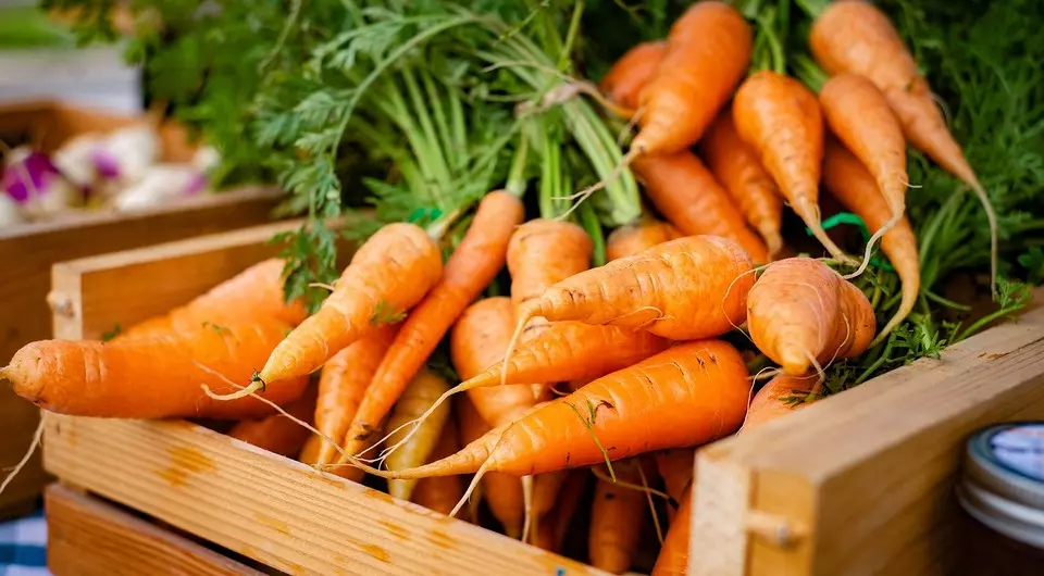 Cách lưu trữ cà rốt tại nhà để nó không làm hỏng trong một thời gian dài: 4 cách 458_5